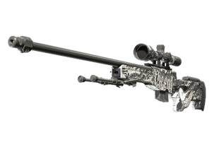 AWP | The End (Well-Worn)