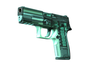 P250 | X-Ray