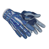 ★ Sport Gloves | Amphibious (Minimal Wear)