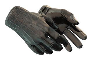 ★ Sport Gloves | Nocts (Factory New)