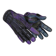 ★ Sport Gloves | Pandora’s Box (Well-Worn)