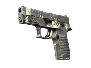 StatTrak™ P250 | Re.built (Field-Tested)