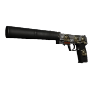 StatTrak™ USP-S | Stainless (Field-Tested)