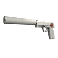 USP-S | Whiteout (Field-Tested)
